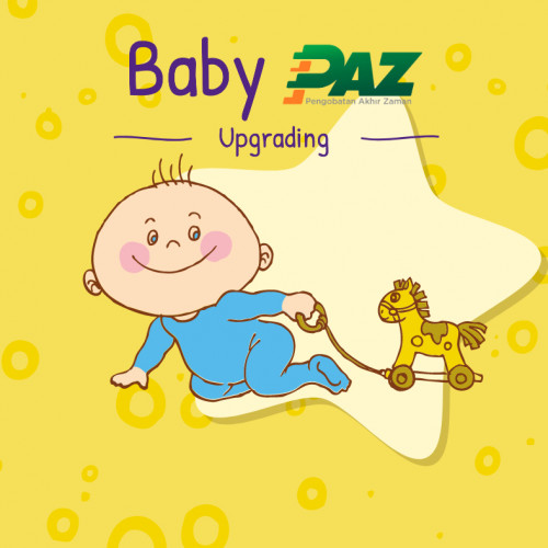 upgrading-online-babypaz