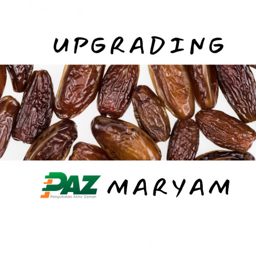 upgrading-online-paz-maryam