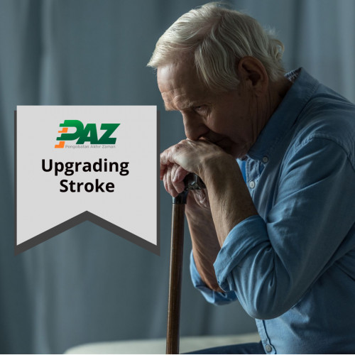 upgrading-online-paz-stroke