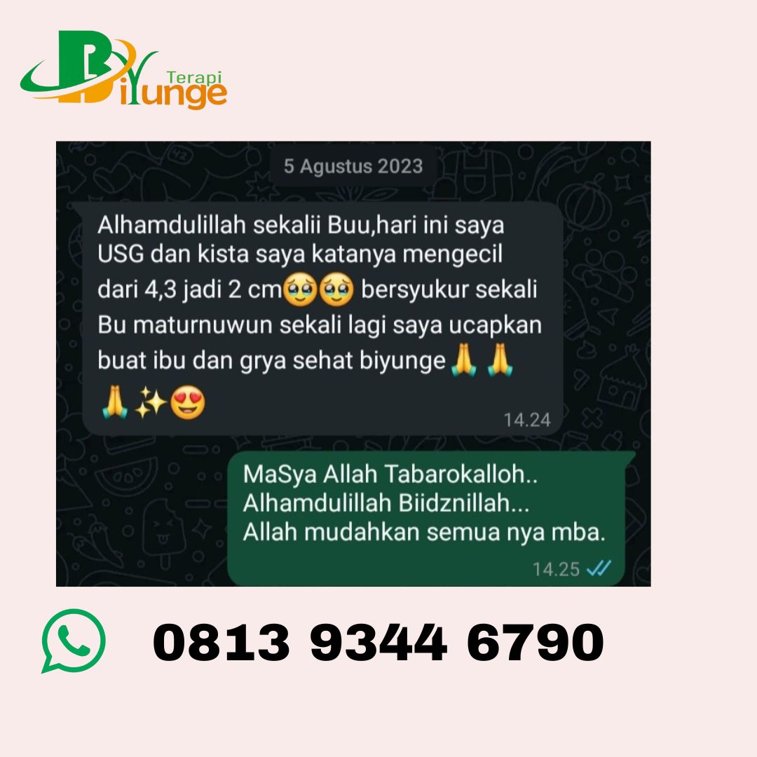 kista-mengecil-tanpa-obat