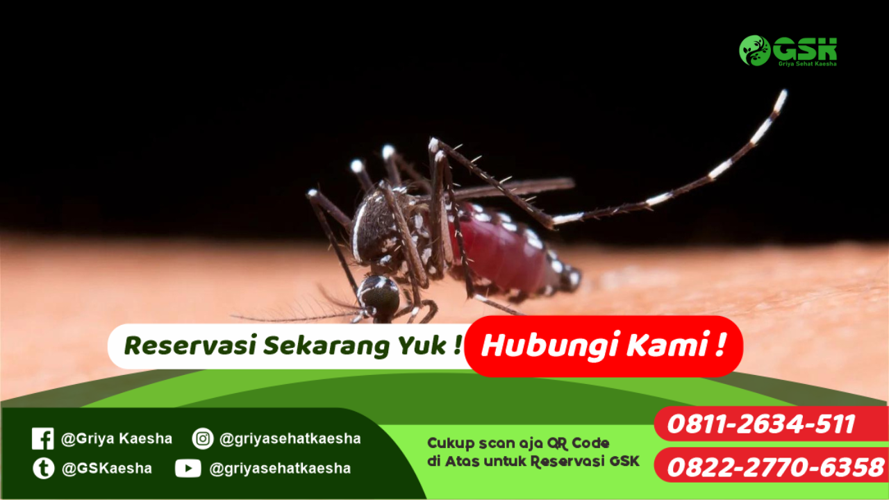 terapi-penyakit-chikungunya-tanpa-obat-dengan-metode-terapi-paz-al-kasaw